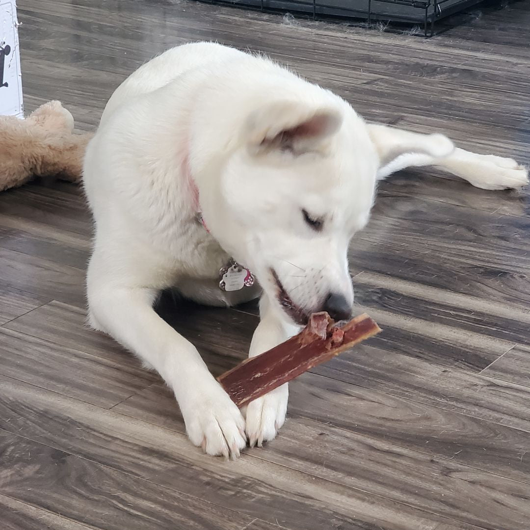 K9 Containment Supplies