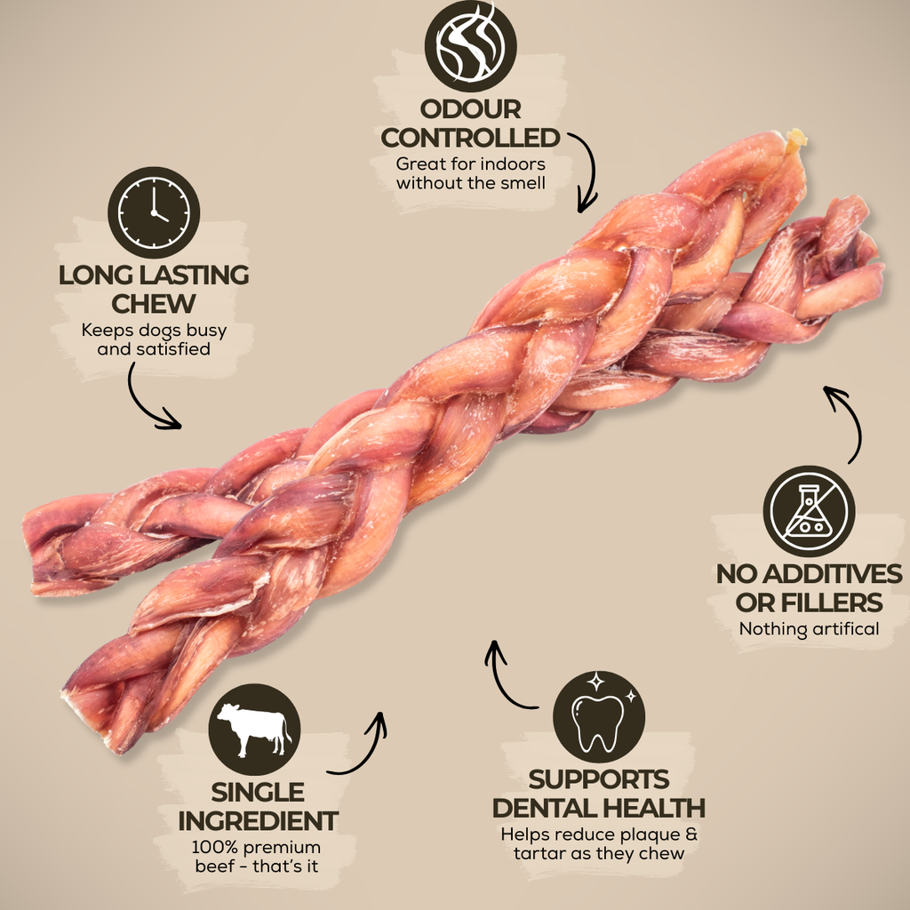 12 Inch Thick Braided Bully Stick