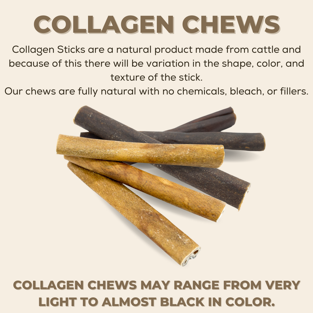 5-6 Inch Champion Chew
