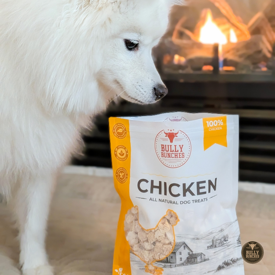 Freeze Dried Chicken 100g / 3.5oz