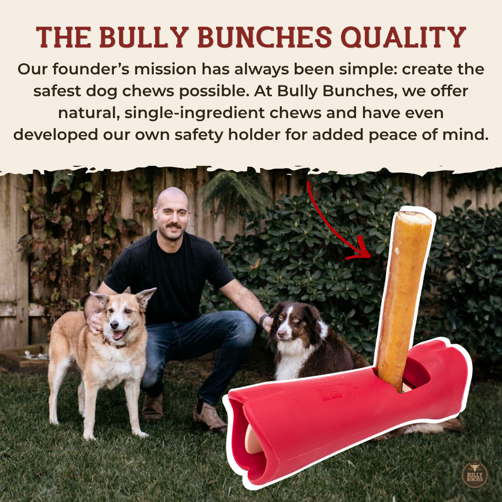 Bully Bargain Bag